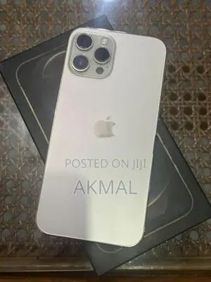 Apple iPhone 12 Pro Max (Used)