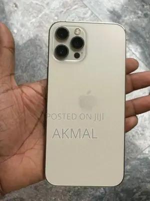 Apple iPhone 12 Pro Max (Used)