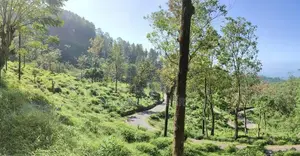 Beautiful Land Plots for Sale in Idalgashinna