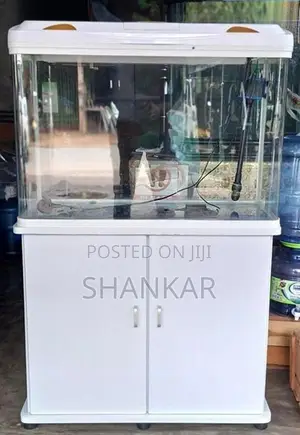 Fish Tank