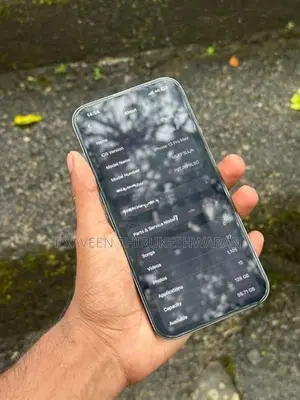 Apple iPhone 13 Pro Max (Used)