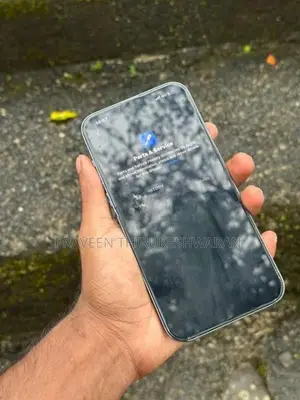 Apple iPhone 13 Pro Max (Used)