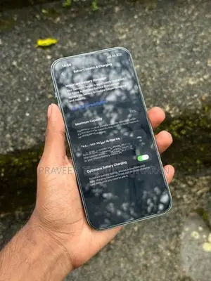 Apple iPhone 13 Pro Max (Used)