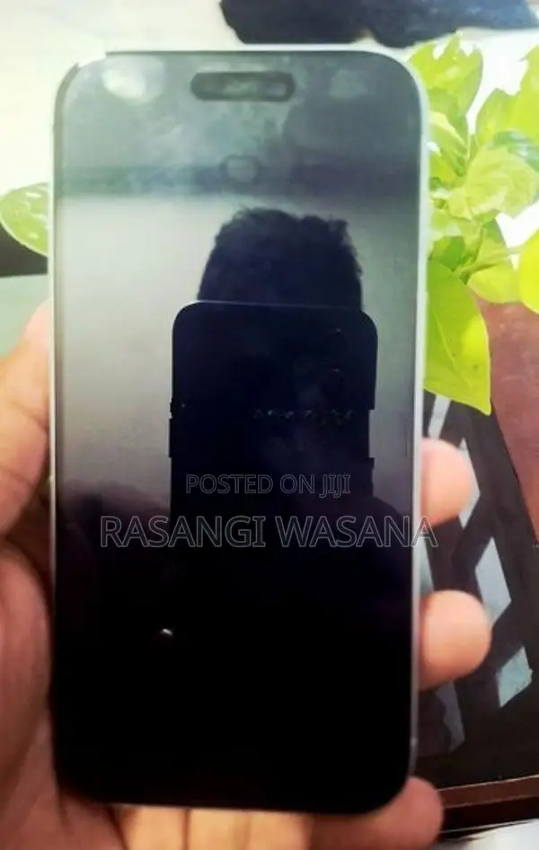 Apple iPhone 15 (Used)