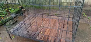 Dog Cage