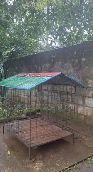 Dog Cage