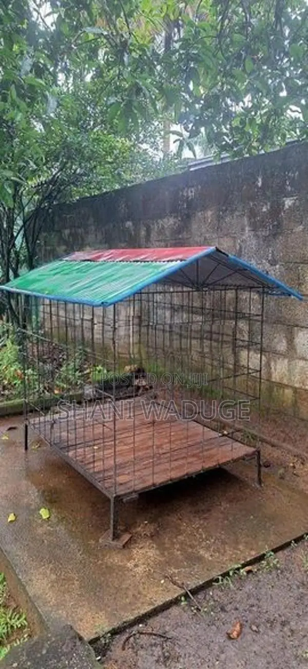 Dog Cage