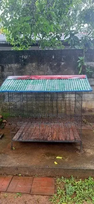 Dog Cage