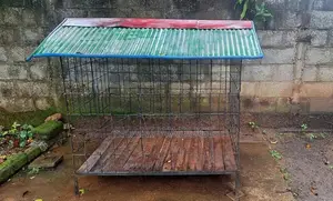 Dog Cage