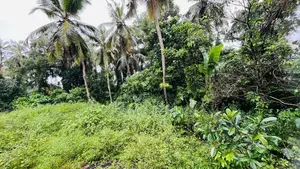 80 Perch Land For Sale In Athurugiriya Thaldiyawala