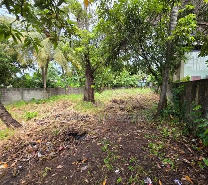 Land For Sale Panadura