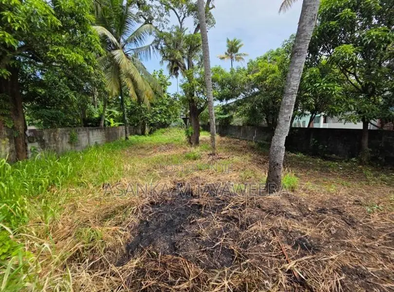 Land For Sale Panadura