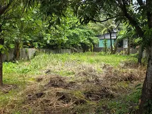 Land For Sale Panadura