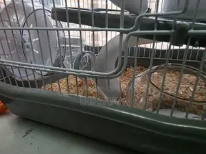 Hamster Cage