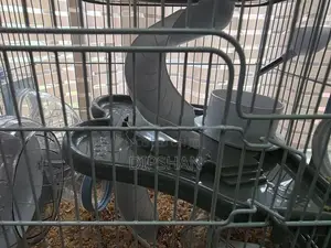 Hamster Cage