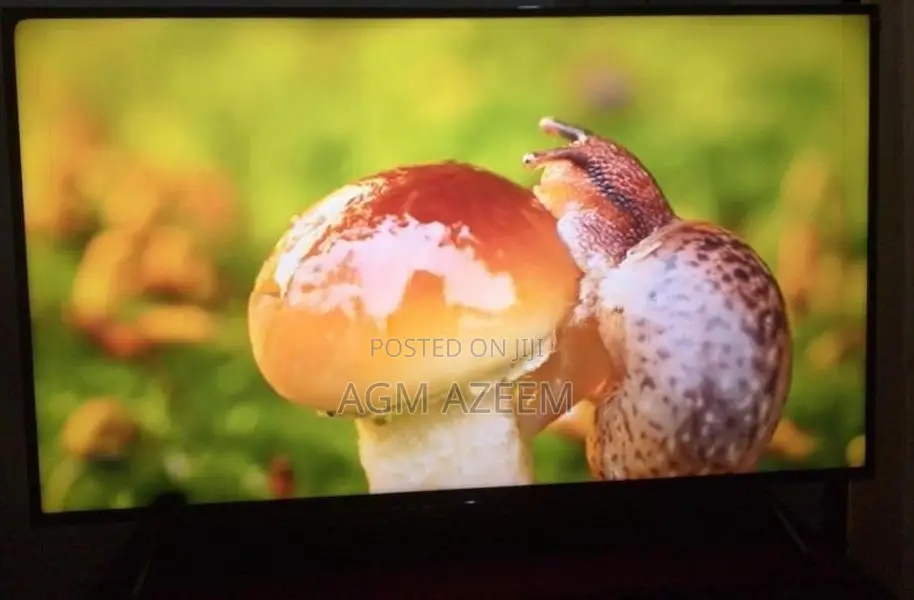 Sony Bravia X75 H 55 Inch Android TV 4K