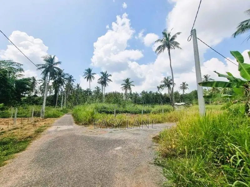 ලෝලුවාගොඩ දම්රෝ අසලින්බිම් කොටසක් විකිණීමට