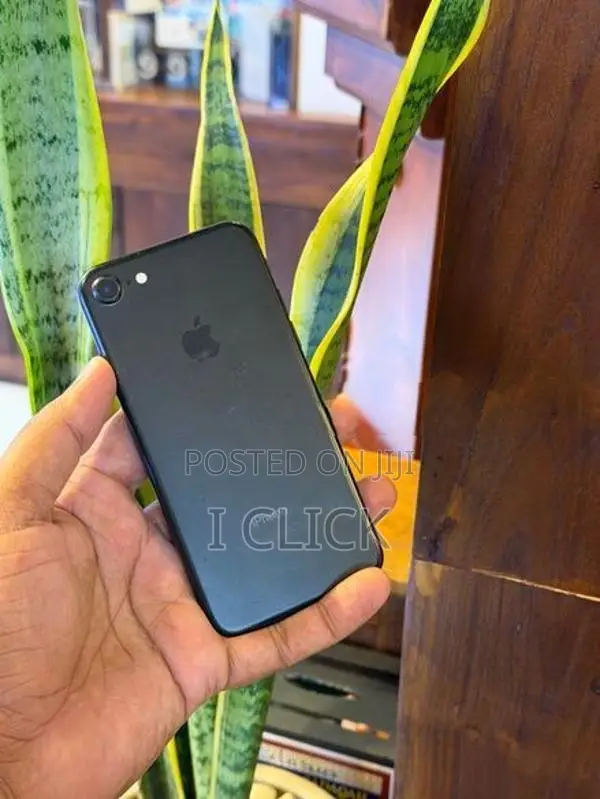 Apple iPhone 7 128GB (Used)