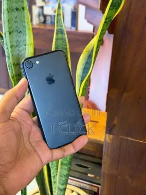 Apple iPhone 7 128GB (Used)