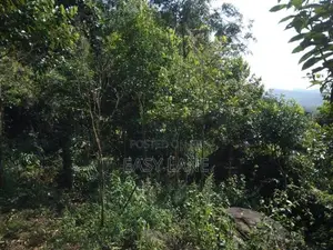 අනාගතයට ඉහළ වටිනාකමක් ඇති ආයෝජනයක් ,,,අක්කර 1 ක ඉඩම 50 යි