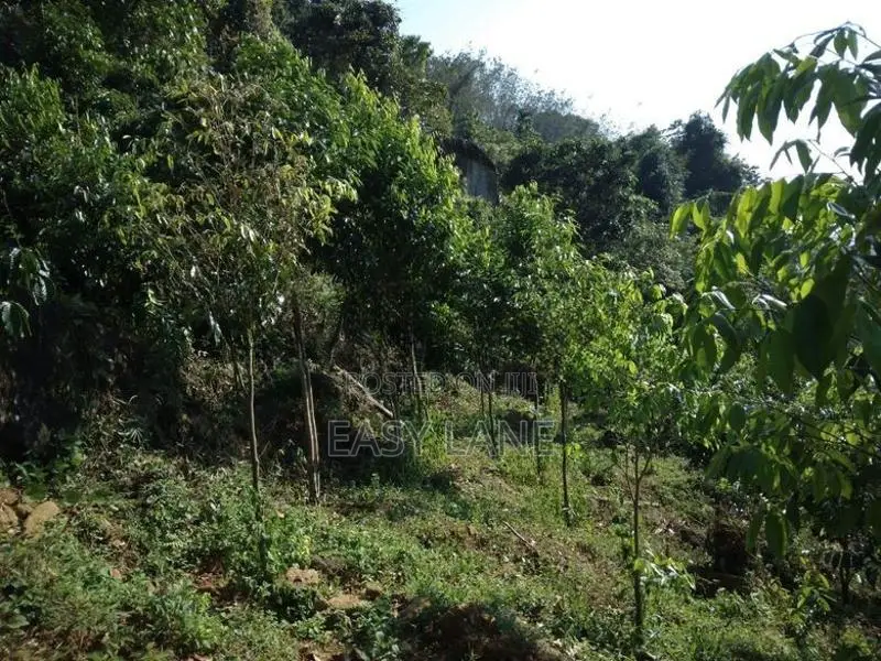 අනාගතයට ඉහළ වටිනාකමක් ඇති ආයෝජනයක් ,,,අක්කර 1 ක ඉඩම 50 යි