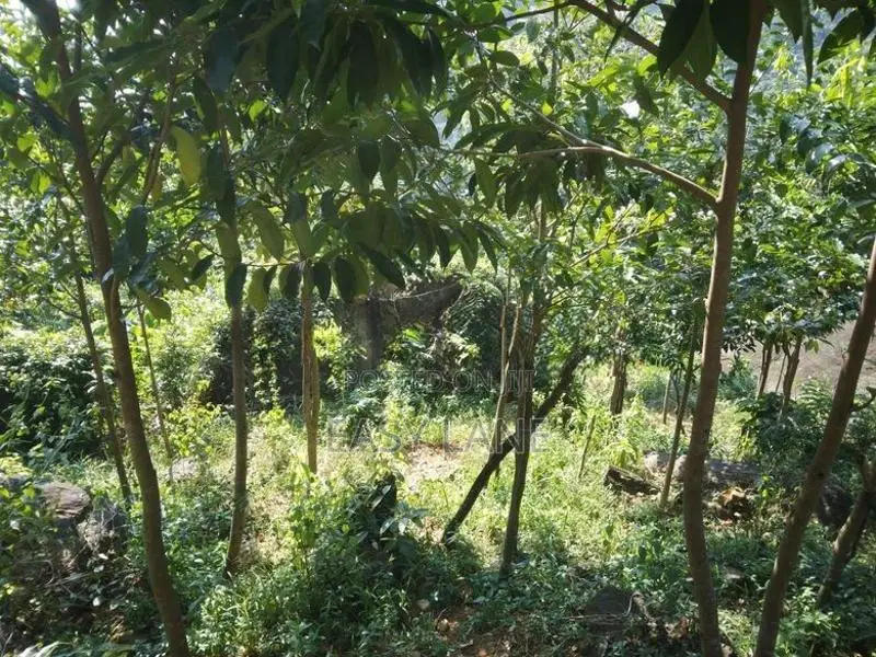 අනාගතයට ඉහළ වටිනාකමක් ඇති ආයෝජනයක් ,,,අක්කර 1 ක ඉඩම 50 යි