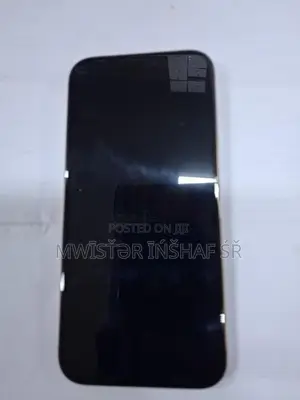 Apple iPhone 16 Pro Max (Used)