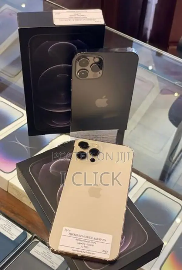 Apple iPhone 12 Pro 256GB (Used)