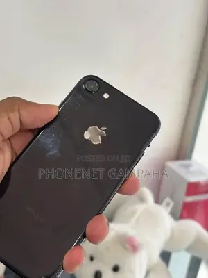 Apple iPhone 7 (Used)
