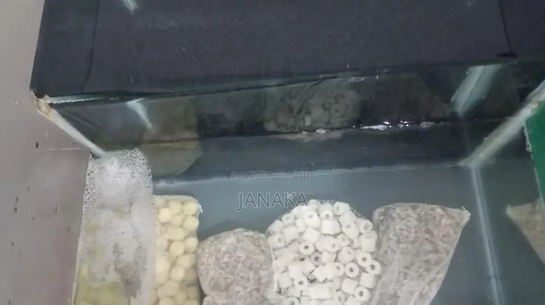 Fish Tank Full Set