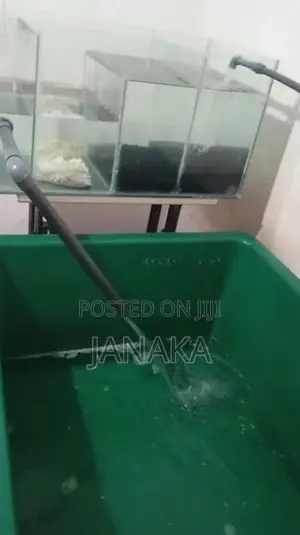Fish Tank Full Set