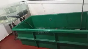 Fish Tank Full Set