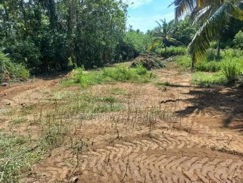 Land for Sale වාඩිගල