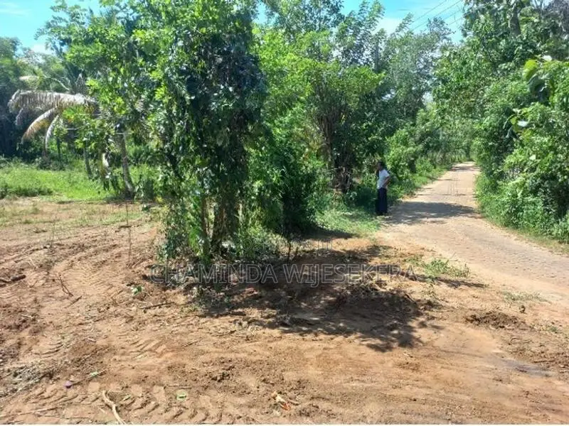 Land for Sale වාඩිගල