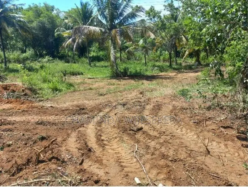 Land for Sale වාඩිගල