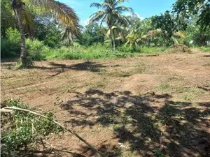 Land for Sale වාඩිගල