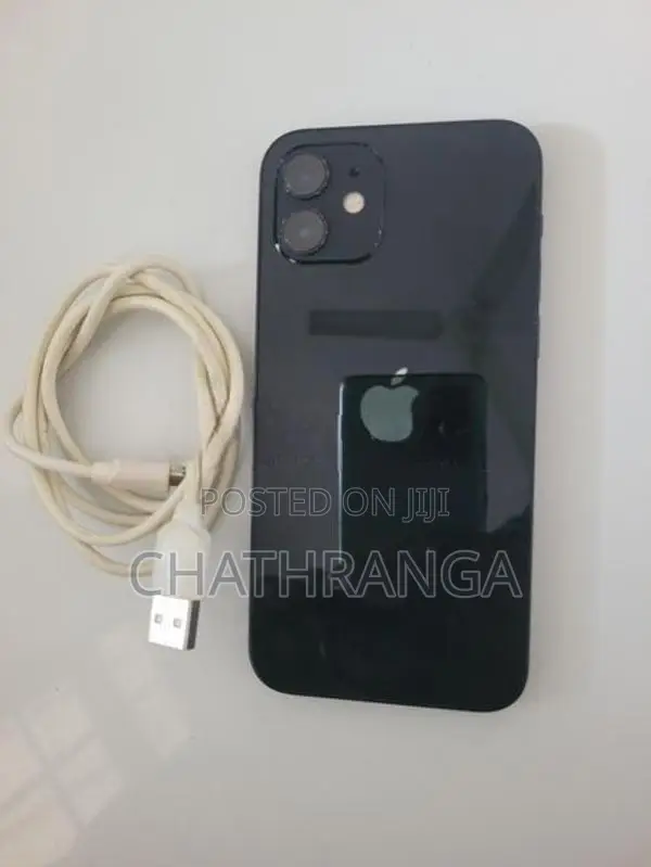 Apple iPhone 12 (Used)
