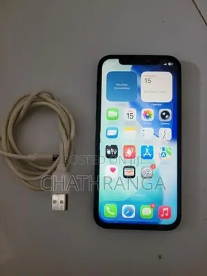Apple iPhone 12 (Used)