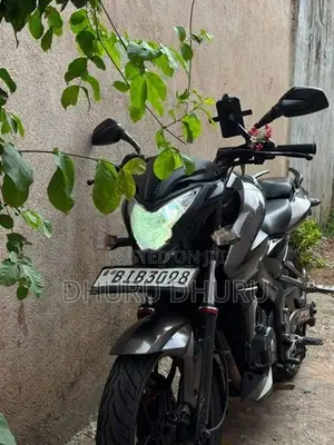 Bajaj Pulsar NS200 2019
