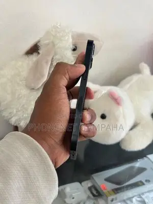 Apple iPhone 13 (Used)