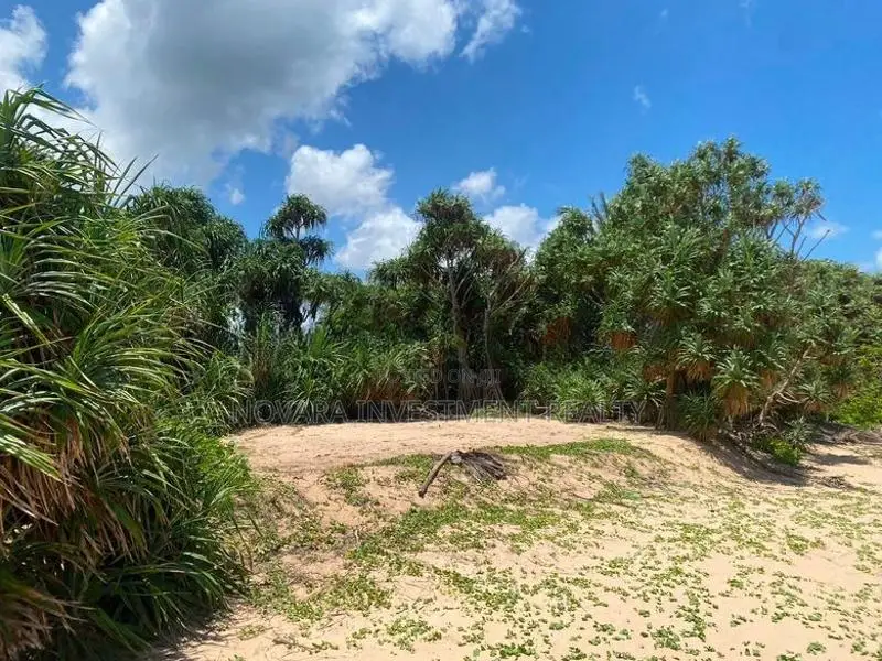 66 Perch On The Beach Land For Sale In Ranna Tangalla