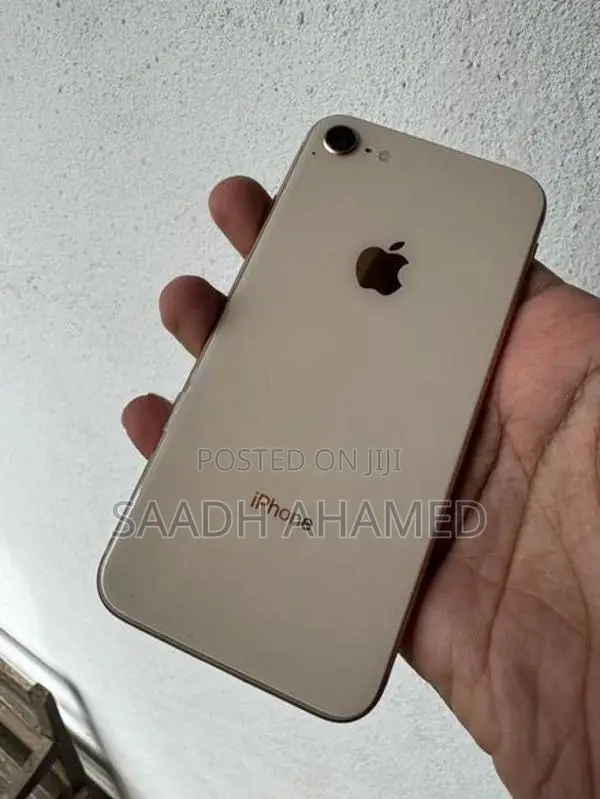 Apple iPhone 8 256GB (Used)