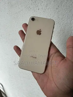 Apple iPhone 8 256GB (Used)