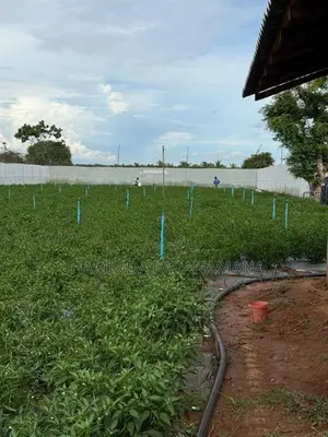 Commercial Land for Sale Hambantota