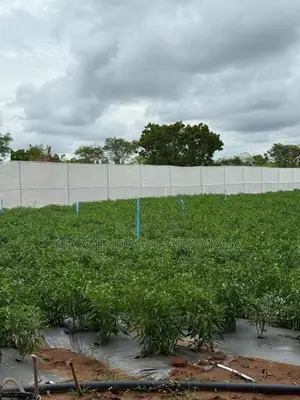 Commercial Land for Sale Hambantota