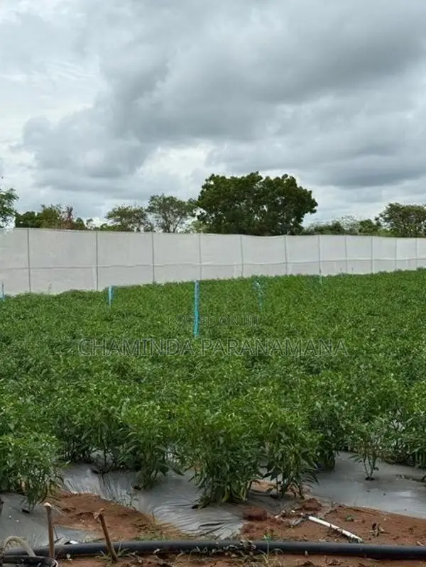 Commercial Land for Sale Hambantota