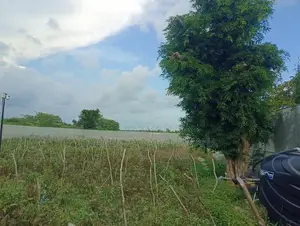 Commercial Land for Sale Hambantota