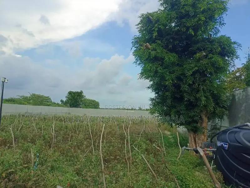 Commercial Land for Sale Hambantota