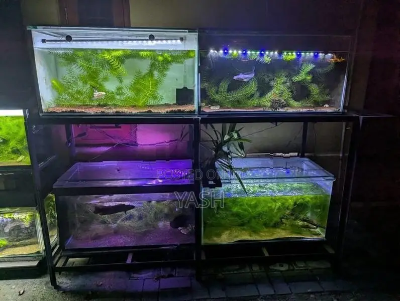 3ft Fish Tank Set