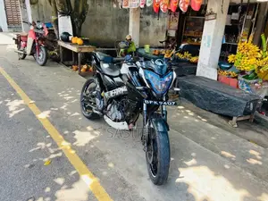 Bajaj NS 160 2017 Motorbike (Used)